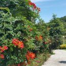 산들꽃펜션 이미지