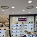 소다마리오 | 발볼 넓은 여자의 피로연 구두 소다 구입 후기!