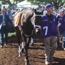 제이에스초이스 이미지