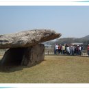 신자초등학교 이미지