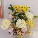 일상에서 활용 가능한 타로 기초 | [공지] 상담 신청 안내 (점성학, 타로, 명상 활용 여성 전용 상담)