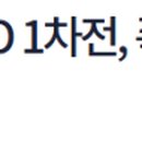 수원팻월드 네이버블로그