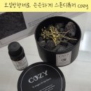 코지스톤 | 집들이 선물로 딱! 코지 화산석 스톤디퓨져 사용 후기