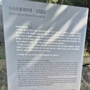 의사오흥태지려 네이버블로그