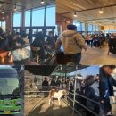 농업기술센터 흥해청사 | 2025년 12월 청도군귀농귀촌연합회 선진지 견학 (포항시 흥해면)