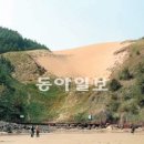 우이도 풍성사구(모래언덕) 이미지