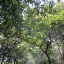 연리보건진료소 이미지