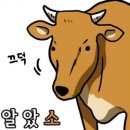 황우촌식육식당 이미지