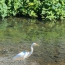 영혼에 닿는 언어로 부르는 노래 이미지