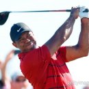 황제(898) 이미지