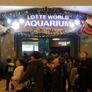 용인대SKY태권도장 이미지