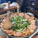청산오리농장 | 태안여행 1박2일 🩵 청산수목원 + 백화산구름다리 | 태안 정복 완료