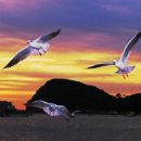 피난을 떠나는 가족 이미지