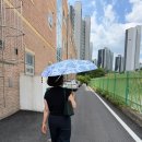 스텔라엔로라 | [Dubleve]드브르베 앞치마 우양산 후기