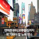 교과서 쏙 클래식 클라쓰 | 처음 뉴욕 여행 코스, 맨해튼·브루클린 지역별 핵심 명소 한눈에 보기