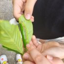 기장초등학교 이미지