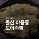 도야족발 - 강릉시 하슬라로177번길 9 | 울산맛집 야음동 주민이 추천하는 도야족발 솔직후기