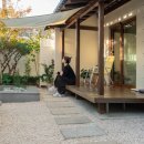 스테이 월화 이미지