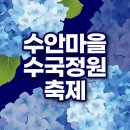 김해 수안마을 수국 이미지