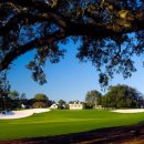 마스터즈골프 이미지