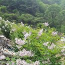 김내용농장 이미지