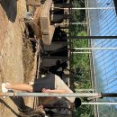 연서목장 이미지