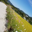 아라뜰2호점 이미지