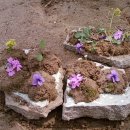 아기밥상 이미지