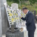 공주-69 이미지