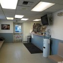 고래동물병원 이미지