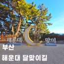 해월정매점 | 부산 해운대 달맞이길 곰솔군락지 해월정 겨울 산책 가볼만한 곳