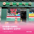 금성약국 이미지