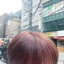 살롱드온 - 서초구 언남10길 17 | 살롱드온