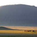 화산약품 이미지