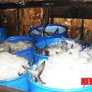 동해어업관리단 이미지