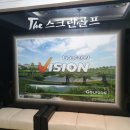 더스크린골프 이미지