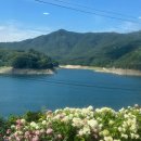 목벌길 | 충주 카페 수국여울, 수국 실시간 상태와 카이막 내돈내산 실망 후기