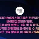브이에스엠 이미지