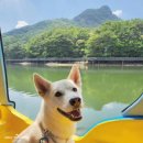 산정목장 1 이미지