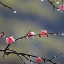 대지를 바라보며 이미지