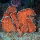 해송4로 이미지