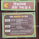 햇살아래캠핑장 | 충주 햇살아래캠핑장 A16 사이트 여름 후기(feat. 6월 방문)