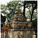 도리사로 이미지