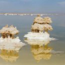 차카(chaka) 이미지