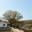 신방2리마을회관 이미지