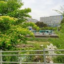 길산수지 이미지