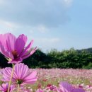 사임당로공원 이미지