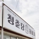 1262 | [평택 포승] 갓 튀겨 더 바삭 쫀득한 간식 맛집, '청춘당 꽈배기' 내돈내산 후기
