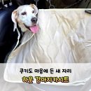 프레임안에서 | 강아지카시트 바꾼 후기 | 차 안에서 계속 움직이던 쿠키를 위해 선택한 하웃 대형견카시트