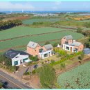 나인브릭 이미지